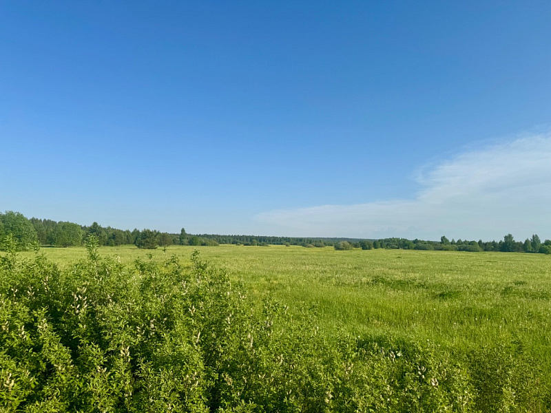 Участок  Качка