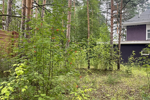 Участок  Пермь, Мотовилихинский р-н, Верхне-Курьинская ул, 13д