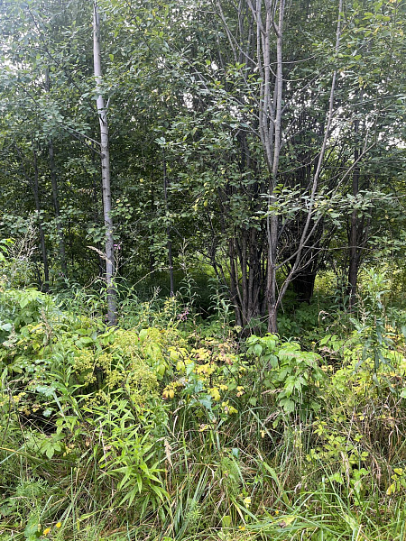 Участок  Пермь, Солнечная ул