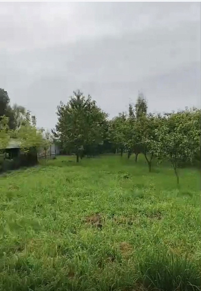 Участок  с. Алпатьево