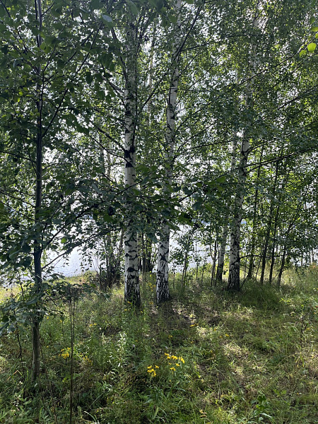 Участок  Пермь, Солнечная ул