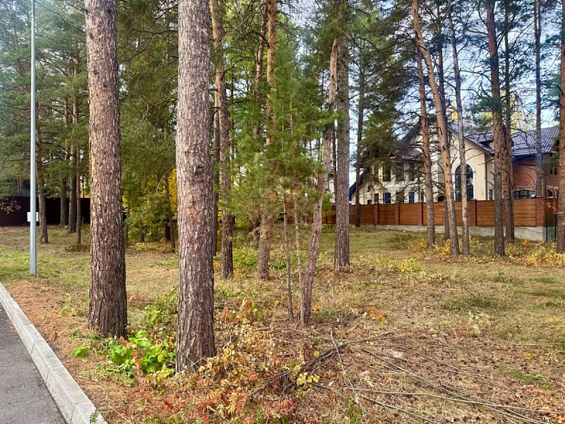 Участок  Пермь, Мотовилихинский р-н, Верхне-Курьинская ул, 13д