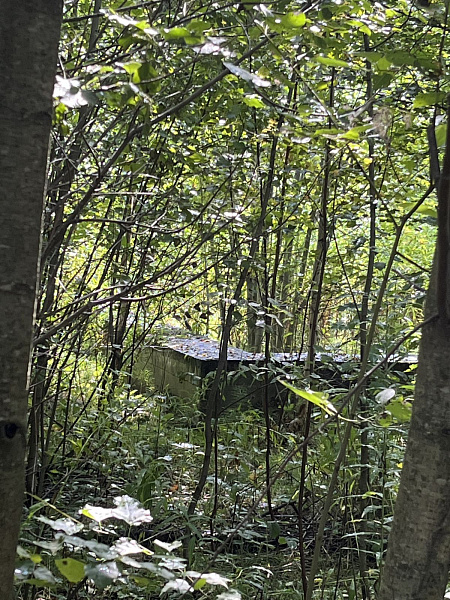 Участок  Пермь, Солнечная ул