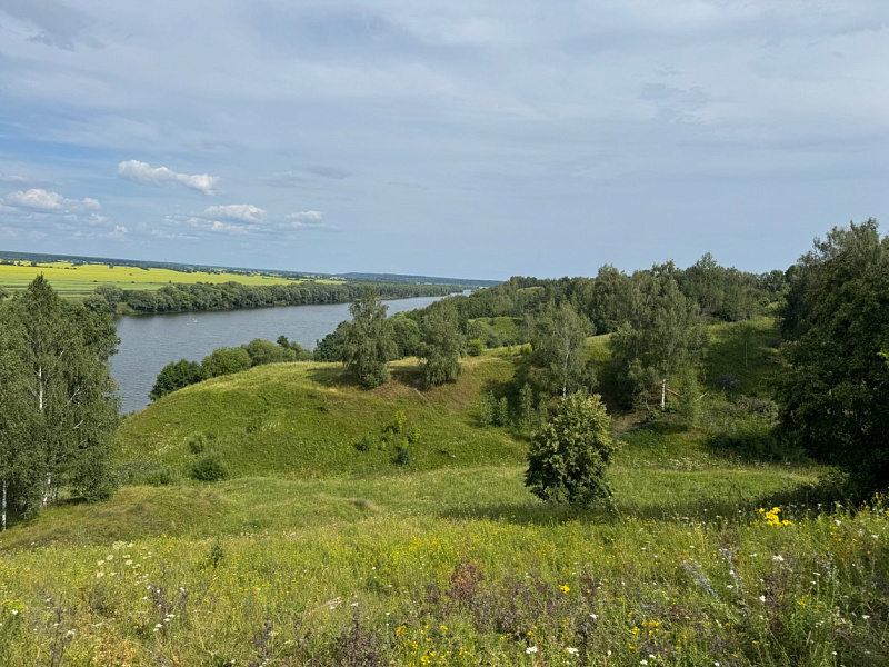 Участок  с. Алпатьево