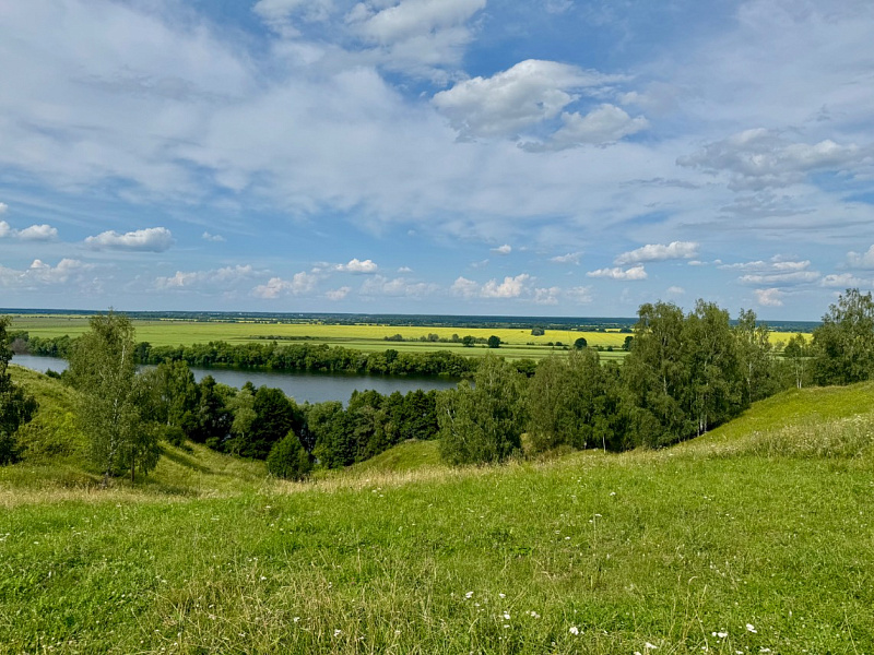Участок  с. Алпатьево