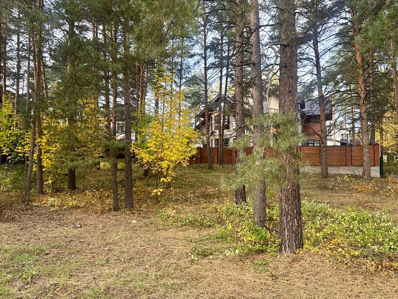 Участок  Пермь, Мотовилихинский р-н, Верхне-Курьинская ул, 13д