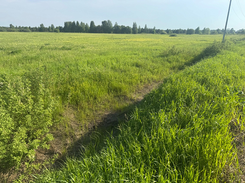 Участок  Качка