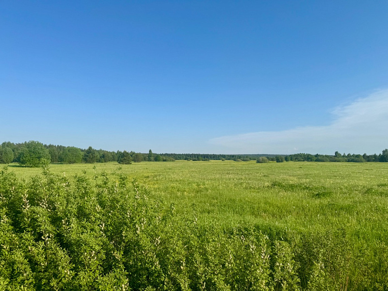 Участок  Качка