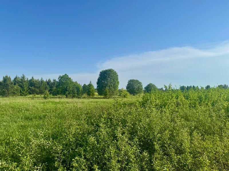 Участок  Качка